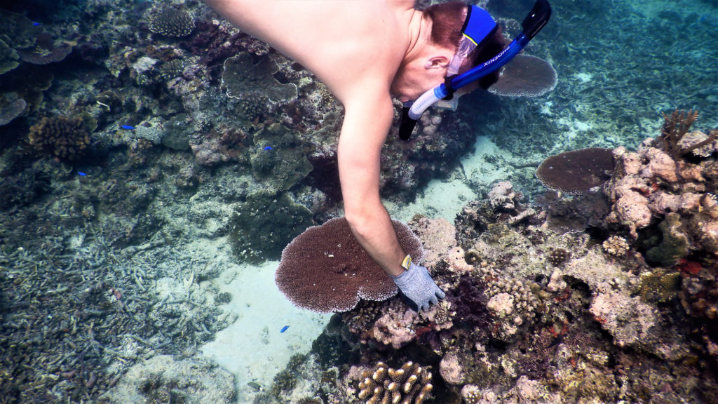 Makaira-Resort-Coral-Reef-190.jpg